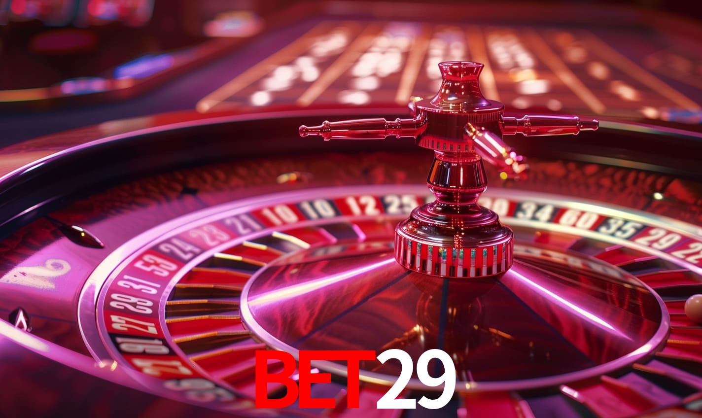 Interface Premium BET29